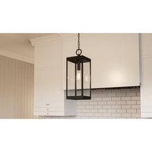 Load image into Gallery viewer, Ainsworth Earth Black 1 -Bulb 20.75&#39;&#39; H Outdoor Hanging Lantern
