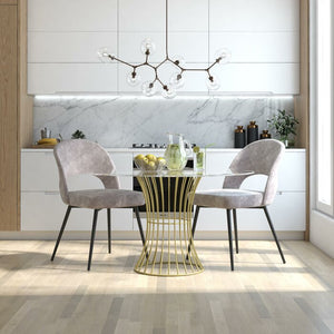 Alexi Upholstered Side Chair - Set of 2 AP348