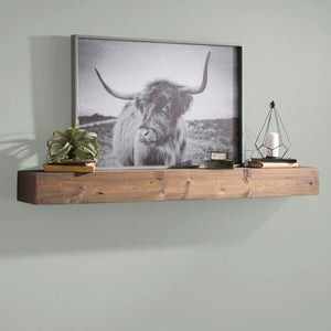 48" Alistair Fireplace Shelf Mantel