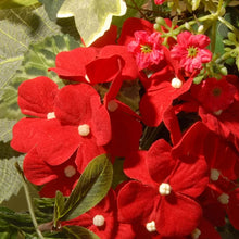 Load image into Gallery viewer, Alizayah 32&quot; Wreath
