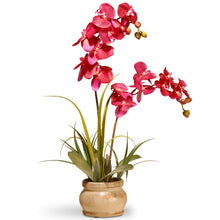 Load image into Gallery viewer, Alizayah Orchids Floral Arrangement in Pot 3079AH
