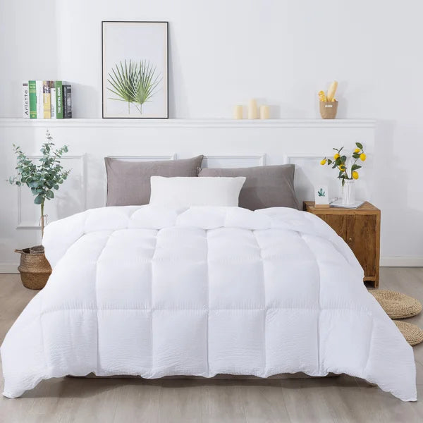 Allam Microfiber Reversible Comforter queen