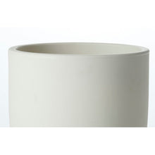 Load image into Gallery viewer, White Ambrea Resin Pot Planter
