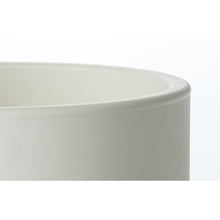 Load image into Gallery viewer, White Ambrea Resin Pot Planter
