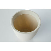 Load image into Gallery viewer, White Ambrea Resin Pot Planter
