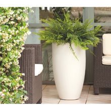 Load image into Gallery viewer, White Ambrea Resin Pot Planter
