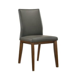19" Amedee Leather Side Chair (Set of 2)