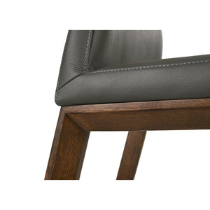 19" Amedee Leather Side Chair (Set of 2)