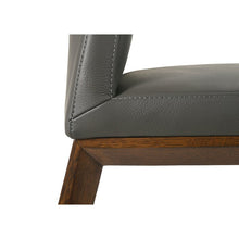 Load image into Gallery viewer, 19&quot; Amedee Leather Side Chair (Set of 2)

