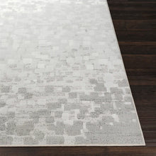 Load image into Gallery viewer, Amelie Abstract Area Rug in Light Gray/White, Rectangle 5&#39;3&quot; x 7&#39;6&quot;
