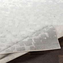 Load image into Gallery viewer, Amelie Abstract Area Rug in Light Gray/White, Rectangle 5&#39;3&quot; x 7&#39;6&quot;
