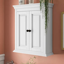 Load image into Gallery viewer, Aminia Wall Mounted Bathroom Cabinet
