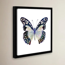 Load image into Gallery viewer, 24&quot; H x 24&quot; W x 2&quot; D Angola White Lady by Amy Kirkpatrick - Print on Canvas
