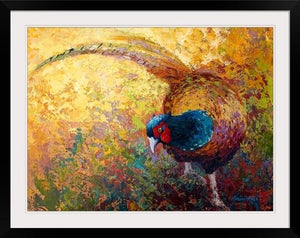 34" H x 43" W x 1" D Anke Marion Rose - Print on black framed print.