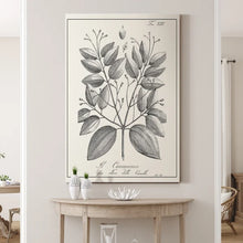 Load image into Gallery viewer, 27&quot; H x 18&quot; W x 1&quot; D Antique Black And White Botanical - Wrapped Canvas Painting
