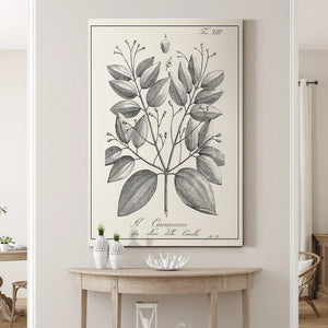 27" H x 18" W x 1" D Antique Black And White Botanical - Wrapped Canvas Painting