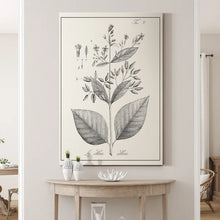 Load image into Gallery viewer, 27&quot; H x 18&quot; W x 1.5&quot; D Antique Black &amp; White Botanical - Wrapped Canvas Painting
