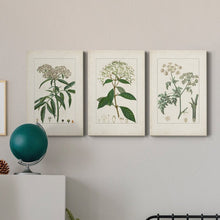 Load image into Gallery viewer, 12&quot; H x 24&quot; W x 1&quot; D Antique Turpin Botanical VII 3 Piece Wrapped Canvas Print

