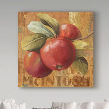 Load image into Gallery viewer, 14&quot; H x 14&quot; W x 2&quot; D Apple Season II by Lisa Audit - Wrapped Canvas Graphic Art
