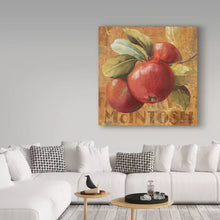 Load image into Gallery viewer, 14&quot; H x 14&quot; W x 2&quot; D Apple Season II by Lisa Audit - Wrapped Canvas Graphic Art
