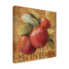 Load image into Gallery viewer, 14&quot; H x 14&quot; W x 2&quot; D Apple Season II by Lisa Audit - Wrapped Canvas Graphic Art
