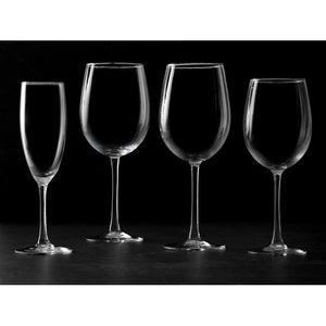 ArcoPrime All Purpose Wine Glass (Set of 12)