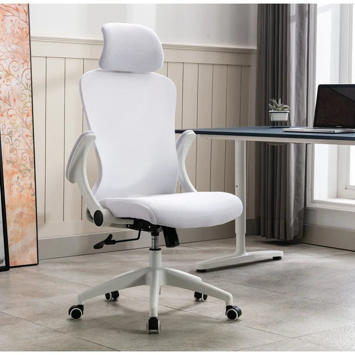 Arjun Ergonomic Mesh Task Chair