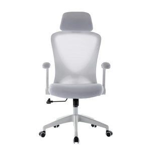 Arjun Ergonomic Mesh Task Chair