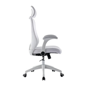 Arjun Ergonomic Mesh Task Chair