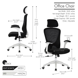 Arjun Ergonomic Mesh Task Chair