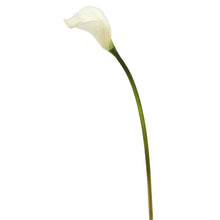 Load image into Gallery viewer, Artificial 26&quot; Calla Lily Stem (Set of 12)
