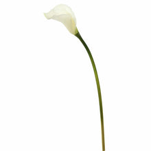 Load image into Gallery viewer, Artificial 26&quot; Calla Lily Stem (Set of 12)
