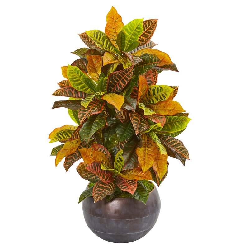 Artificial Croton Plant in Planter 2076CDR