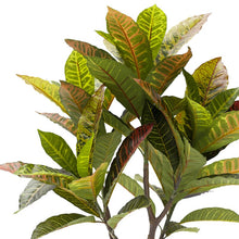 Load image into Gallery viewer, 25&quot; H x 26&quot; W x 24&quot; D Artificial Croton Tree in Pot
