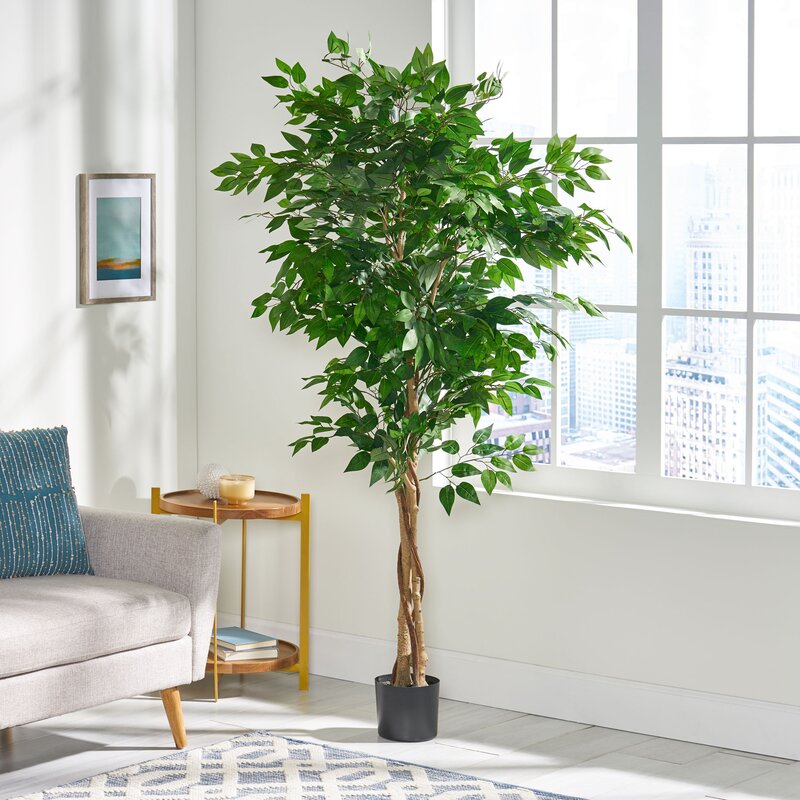 Artificial Ficus Tree in Pot 70.9