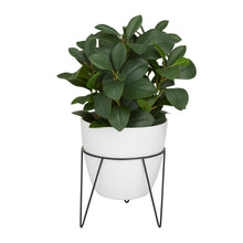 Load image into Gallery viewer, Artificial Fiddle Leaf Fig Plant in Pot
