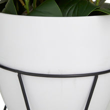 Load image into Gallery viewer, Artificial Fiddle Leaf Fig Plant in Pot
