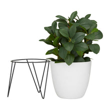 Load image into Gallery viewer, Artificial Fiddle Leaf Fig Plant in Pot
