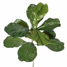 Load image into Gallery viewer, 72&quot; H x 35&quot; W x 35&quot; D Artificial Fiddle Leaf Fig Tree in Pot

