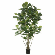 Load image into Gallery viewer, 72&quot; H x 35&quot; W x 35&quot; D Artificial Fiddle Leaf Fig Tree in Pot
