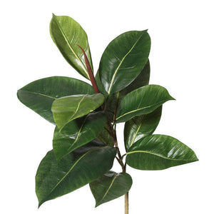 72" H x 40" W x 40" D Artificial Fiddle Leaf Fig Tree in Pot