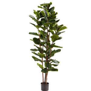 Artificial Fiddle Leaf Fig Tree 65AH