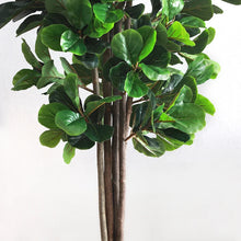 Load image into Gallery viewer, 71&quot;H Artificial Fiddle Leaf Fig Tree in Pot

