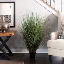 Load image into Gallery viewer, 24&quot; H x 12&quot; W x 12&quot; D Artificial Foliage Grass in Pot
