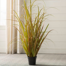 Load image into Gallery viewer, 48&quot; H x 24&quot; W x 24&quot; D Artificial Grass in Pot 1395AH
