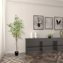 Load image into Gallery viewer, Artificial Milan Leaf Tree in Pot, 72&quot; H x 28&quot; W x 28&quot; D

