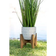Load image into Gallery viewer, 31&quot; H x 11&quot; W x 11&quot; D Artificial Onion Grass in Pot
