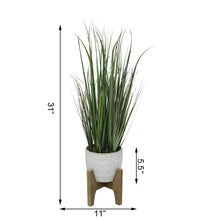 Load image into Gallery viewer, 31&quot; H x 11&quot; W x 11&quot; D Artificial Onion Grass in Pot
