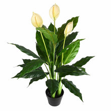 Load image into Gallery viewer, Artificial Peace Lily Real Touch Floor Flowering Tree in Pot (LW101)

