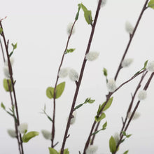Load image into Gallery viewer, Artificial Pussy Willow Spray
